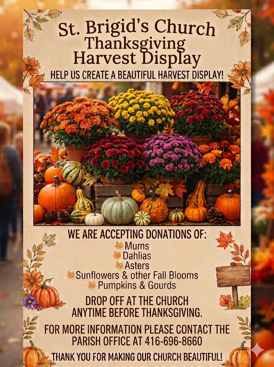 Thanksgiving Harvest Display