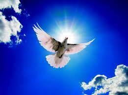 Holy Spirit dove with blue background